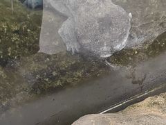 -珠海长隆海洋王国