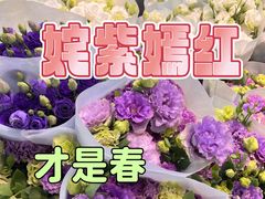 -金汇四季广场