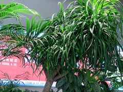 -渔语鱼酸菜鱼新川菜(万象城店)