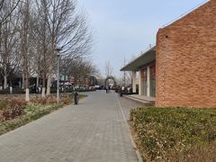 -大兴滨河森林公园