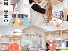 -屋虎猫馆(宝安大仟里店)