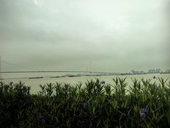 -海鸥岛