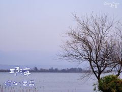 -西昌邛海湿地