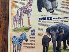 -长鹿旅游休博园