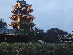 -桂湖森林公园