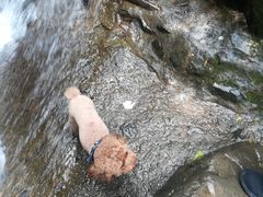 -藏龙百瀑风景区