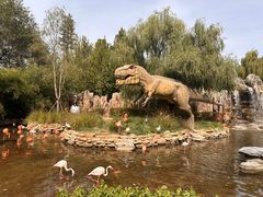 -北京野生动物园