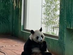 -秦皇岛野生动物园