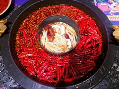 -蜀大侠火锅(建设路第五大道店)