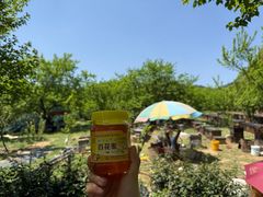 -敬亭山风景名胜区