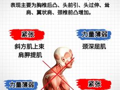 -锐动健身游泳(博地中心店)