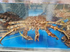 -盒马鲜生(大成店)