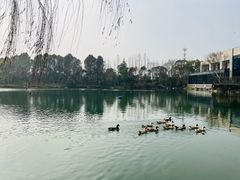 -上海怡沁园度假酒店
