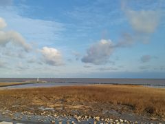 -南汇嘴观海公园