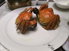 -云顶旋转自助景观餐厅