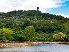-火炉山森林公园