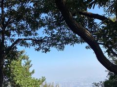 -惠山国家森林公园
