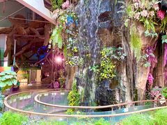 -正佳雨林生态植物园