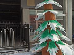 -沈阳奥体冰雪嘉年华