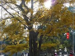 -红螺寺