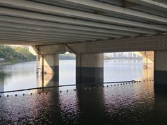 -南宁南湖公园