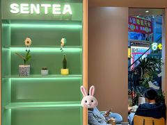 -森茶(湛江万达店)
