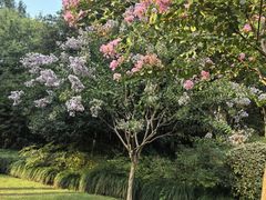 -杭州城北体育公园