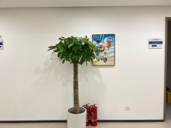 -丰联丽格医疗美容·联合丽格眼整形中心