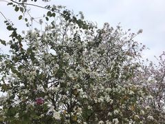 -水濂山水库景点停车场