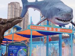 -海合安武汉极地海洋公园