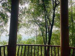 -南山植物园