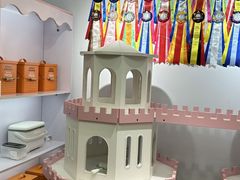 -青奢宠物·青奢猫舍