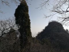 -狼牙山风景区