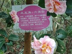 -白云山风景名胜区