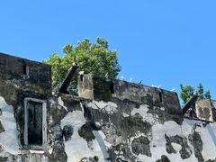 -大炮台
