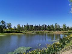 -东郊湿地公园