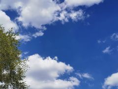 -蒲河岛湿地公园