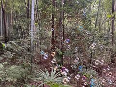 -青龙山国家森林公园