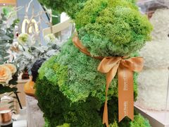 -PlantsEatery·植物食堂(REX春熙店)