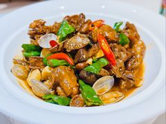 红岛蛤蜊炒鸡-双合园·海鲜水饺青岛菜(万佳广场店)