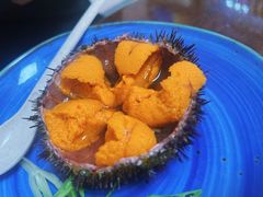 -南山酒肆(南山董事绘店)