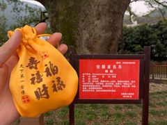 -新安江山水画廊风景区