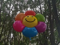 -长白岛森林公园