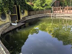 -南宫五洲植物乐园