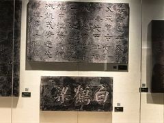-白鹤梁水下博物馆