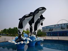 -石家庄极地海洋世界