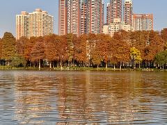 -光明小镇欢乐田园