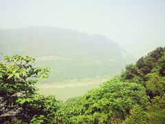 -铁山坪森林公园