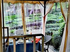 -野蔓果·山野菜(西湖景区·龙井茶田店)