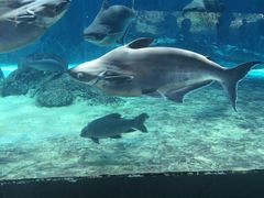 河川生态园-河川生态园